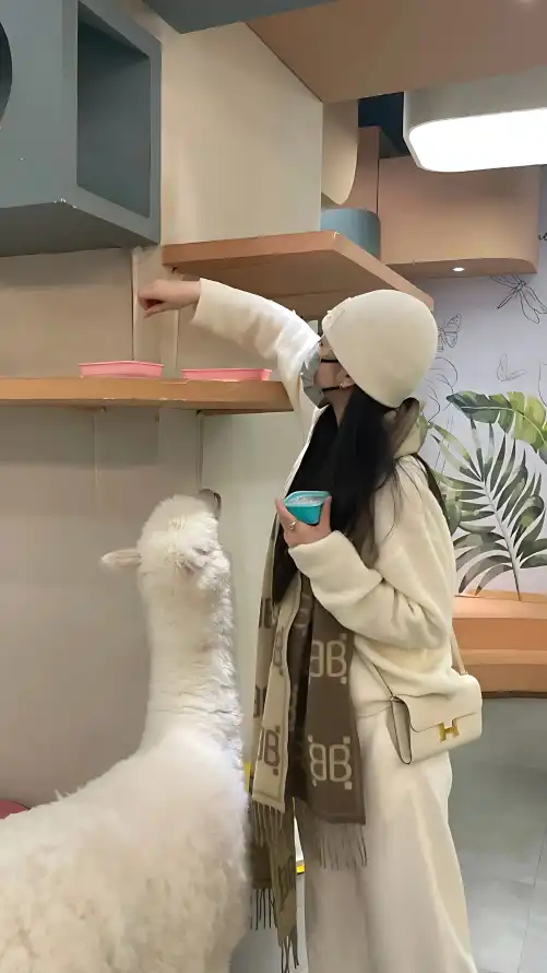 亚洲中文久久精品